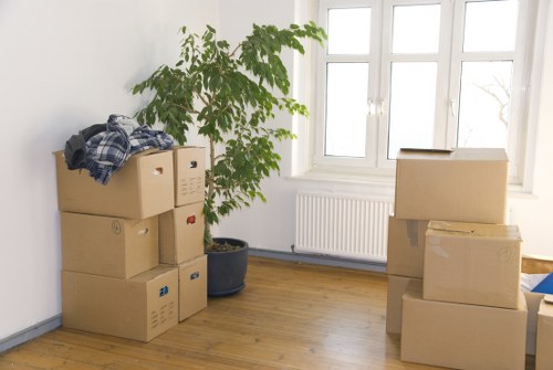 Packing materials and labelled boxes prepared for a local move